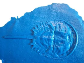 Fossil Print Rubber Mold Stamp for Concrete or Drywall Plaster Walttools-Stamps